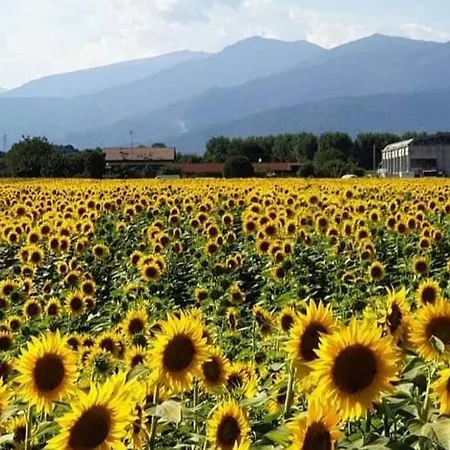 Ferienhaus La Trottola Carrù